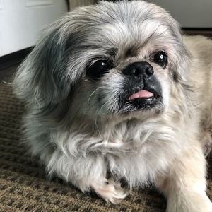 Fundraising Page: Ewok PAC Alum